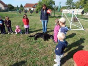 Sorbon - pes fotbalista